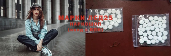 PSILOCYBIN Баксан