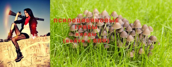 гидра Балабаново