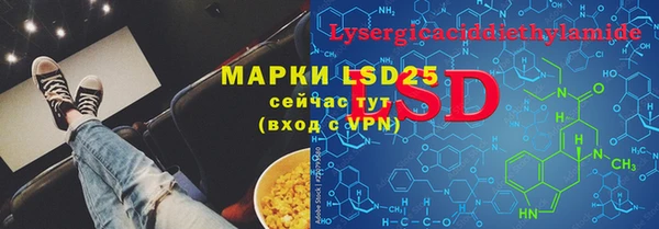 PSILOCYBIN Баксан