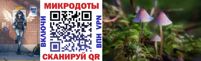 Галлюциногенные грибы прущие грибы Сунжа